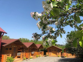 Guest House Lev
